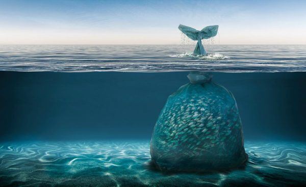Abu Dhabi to be free of single-use plastic bags by 2021