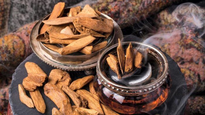 Are you a party animal? Choose these oud fragrances to turn some heads