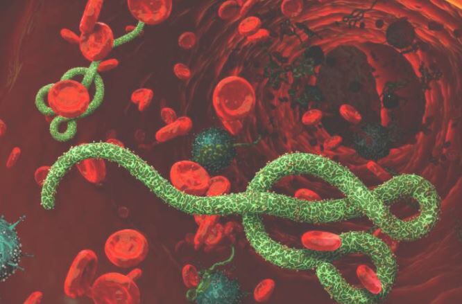 New Ebola outbreak detected in northwest DR Congo