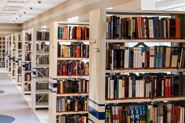 Public libraries in Dubai resumed services from June 18