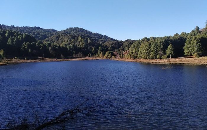 A lake in India turns pink with unknown reasons.