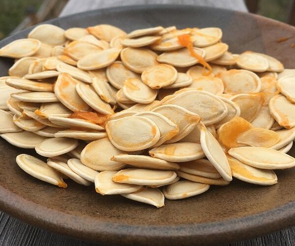 Is China sending ‘mystery seeds’ to America?