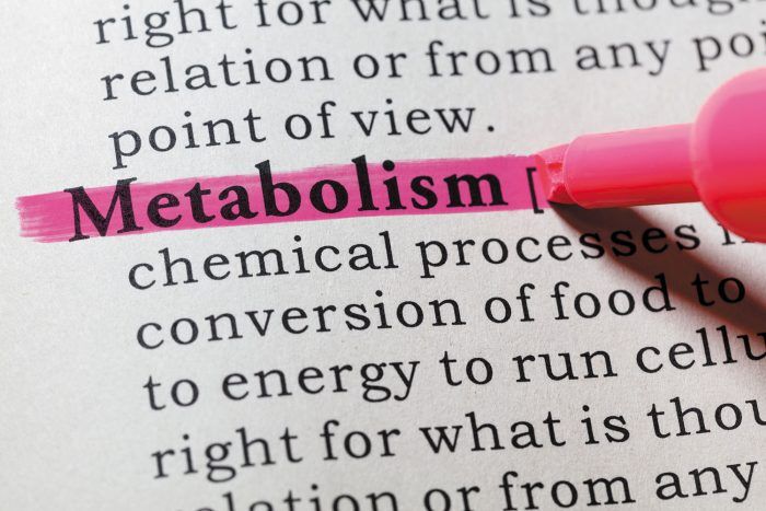 What is metabolism? What are the simple ways to increase metabolism