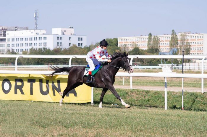 “Al-Aziza” wins the “Mother of the Nation” Cup in Belgium and “Iquario”, the champion of the Al-Wathba race in Bucharest