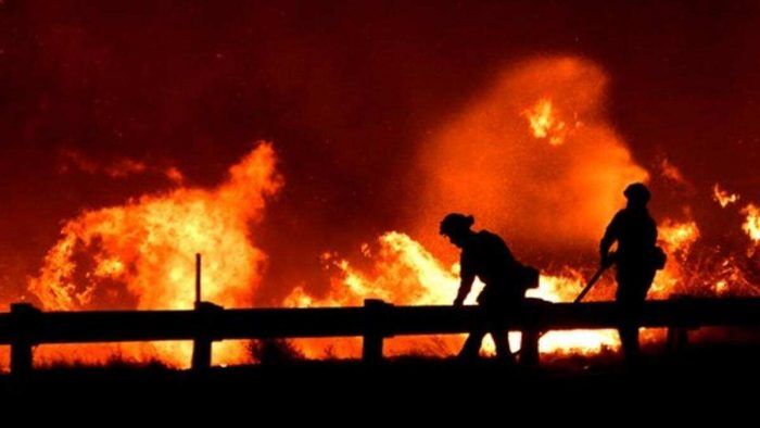 Covered more than 8 thousand kilometres. Satellite imagery shows the arrival of smoke from US wildfires to Europe