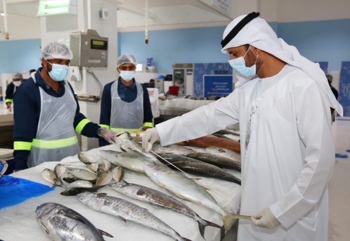 Dubai Municipality organizes a symposium to enhance efforts to preserve fish wealth