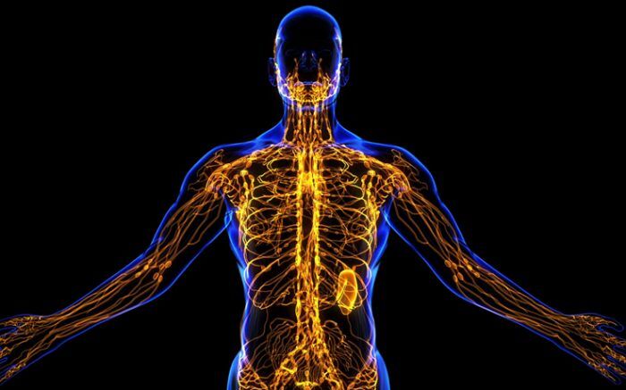 Some ways to train your immune system