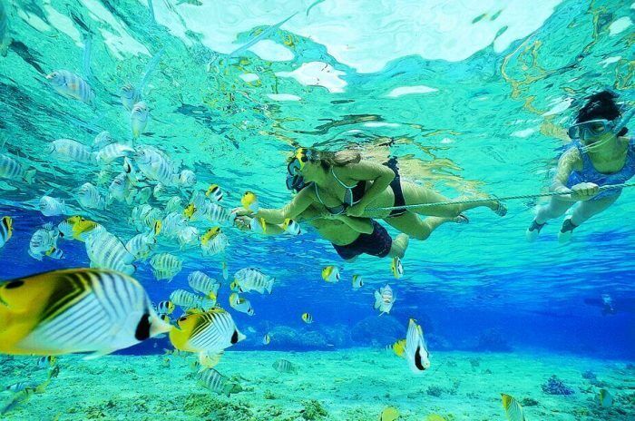 About Ras Ghurab Island in Abu Dhabi