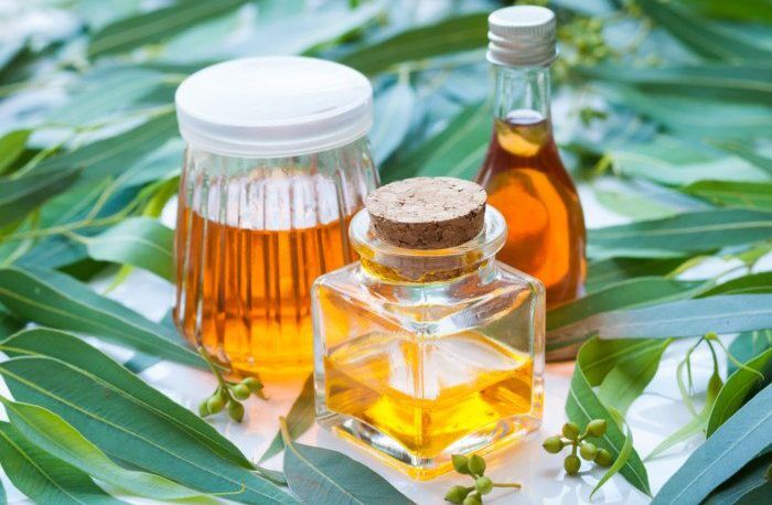 Top benefits and uses of eucalyptus oil