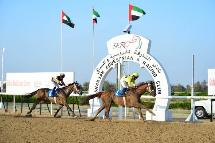 Tomorrow in Sharjah: Start of the two Cups of Sharjah Crown Prince and Ahmed bin Rashid Al Maktoum Horse Racing
