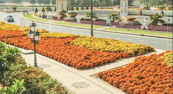 A huge number of blossoms sprout across Dubai