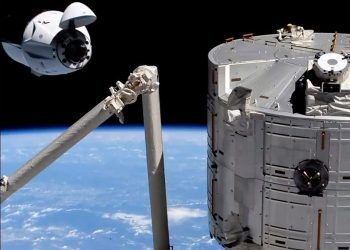 SpaceX launches ants, avocados, robot to space station