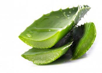 Amazing benefits of Aloe Vera